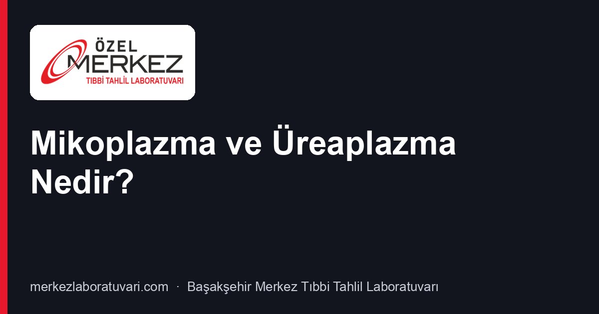 Mikoplazma ve Üreaplazma Nedir?